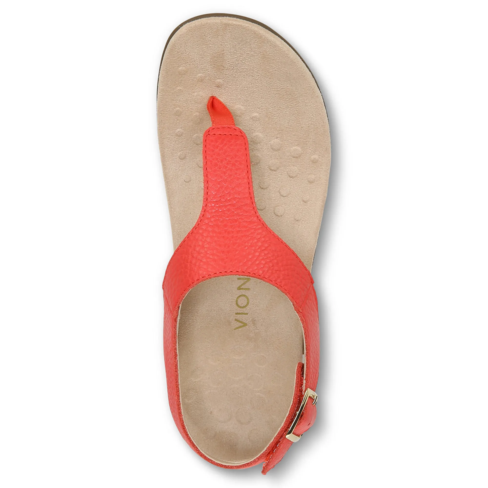 Discount Vionic Terra Sandal Black|Clay|Cream|Lake Blue