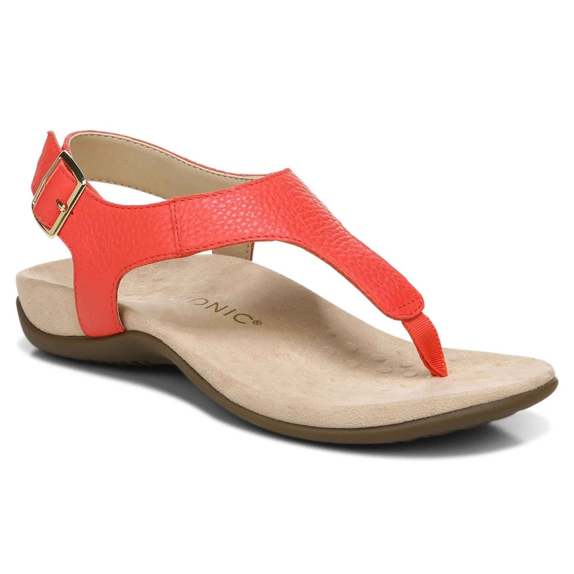 Discount Vionic Terra Sandal Black|Clay|Cream|Lake Blue